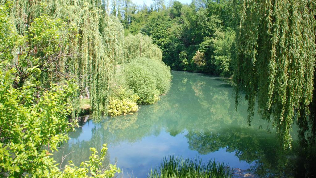 Lahinja & Kolpa River Apartments Метлика Экстерьер фото